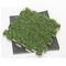 Low Density Closed Cell Polyethylene Foam Artificial Grass Shock Absorption For Sports
