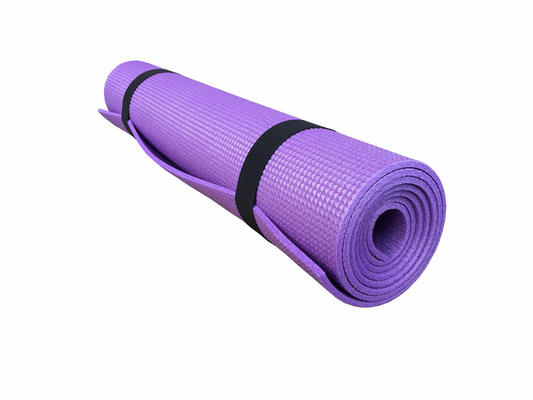 Wholesale XPE Foam Material Durable Lightweight Roll Sleeping Mat For Camping Custom Color