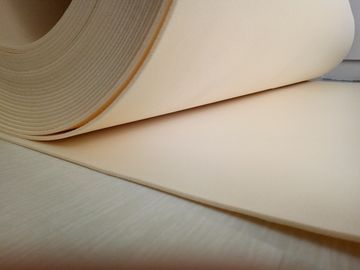 Eco-Friendly feature cross-linked polypropylene foam
